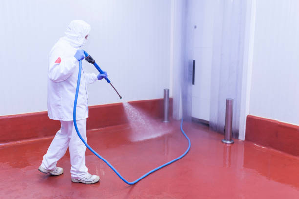 Professional Pressure Washing Services in Marlette, MI